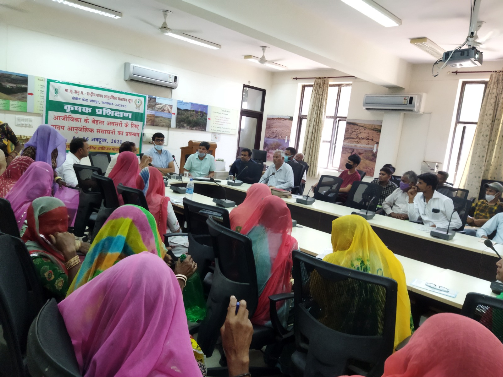 Government Participation
